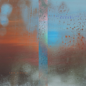 免费激情在线视频网址
